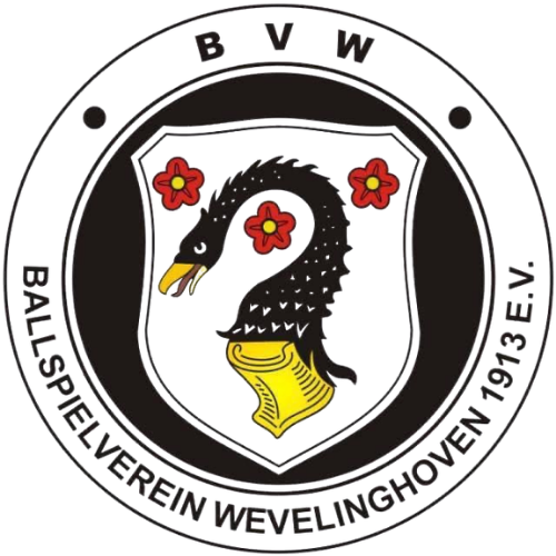 BVW LOGO